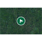 OraGarden Rasenpellets Regeneration MAXI Plus 1.4 kg