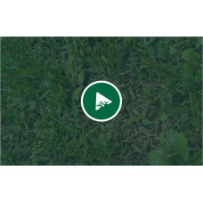 OraGarden Rasenpellets Regeneration MAXI Plus 1.4 kg