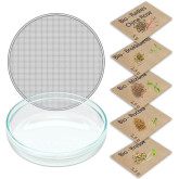 Grüne Fee Anzuchtset “Bio Microgreens”