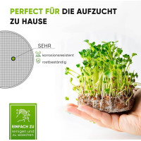 Grüne Fee Anzuchtset “Bio Microgreens”