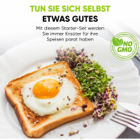 Grüne Fee Anzuchtset “Bio Microgreens”