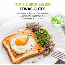 Grüne Fee Anzuchtset “Bio Microgreens”