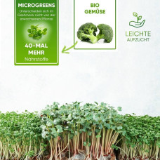 Grüne Fee Anzuchtset “Bio Microgreens”
