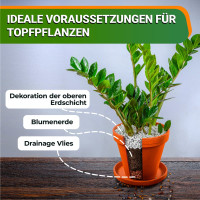 OraGarden Dekorationston Blähton - Intensiv Orange 4-8 mm 1 Liter