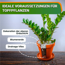 OraGarden Dekorationston Blähton - Hell Orange 8-16 mm 1 Liter