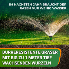 OraGarden Rasensamen Dürreresistent 1 kg