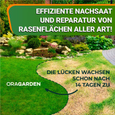OraGarden Rasensamen Regeneration 1 kg