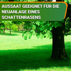 OraGarden Rasensamen Schatten 1 kg