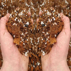 SYBASoil Premium Aroid Mix 5 L