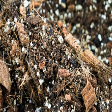 SYBASoil Premium Alokasien Mix 5 L