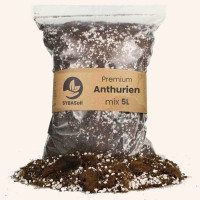 SYBASoil Premium Anthurien Mix 5 L