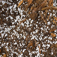 SYBASoil Premium Anthurien Mix 5 L