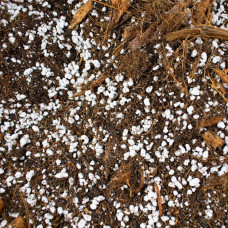 SYBASoil Premium Anthurien Mix 10 L