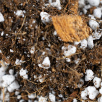 SYBASoil Premium Anthurien Mix 5 L