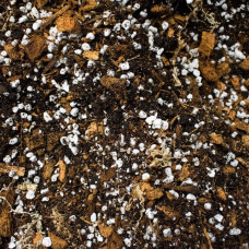 SYBASoil Premium Aroid Mix 10 L