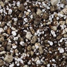 SYBASoil Premium Bonsai Mix 5 Liter