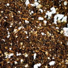 SYBASoil Premium Calathea & Maranta Mix 5 L