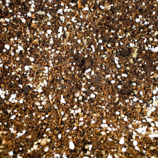 SYBASoil Premium Calathea & Maranta Mix 5 L