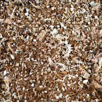 SYBASoil Premium Fleischfressende Pflanzen Mix 10 Liter