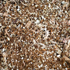 SYBASoil Premium Fleischfressende Pflanzen Mix 10 Liter