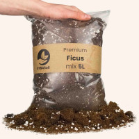 SYBASoil Premium Ficus Mix 10 Liter