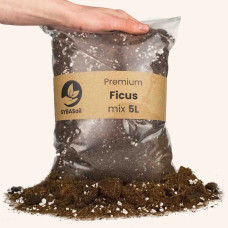 SYBASoil Premium Ficus Mix 10 Liter