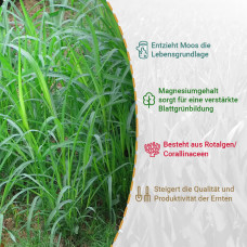 OraGarden Düngermann Maer-Algenkalkgranulat 0.7 kg