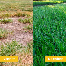 OraGarden Mantelsaatgut Dürreresistent 0.7 kg