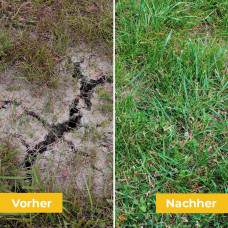 OraGarden Mantelsaatgut Dürreresistent 0.7 kg