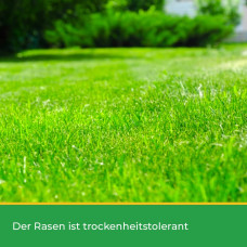 OraGarden Mantelsaatgut Dürreresistent 10 kg