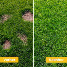 OraGarden Mantelsaatgut Regeneration Plus 0.7 kg