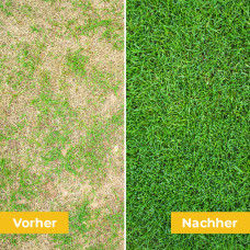 OraGarden Mantelsaatgut Regeneration Plus 0.7 kg