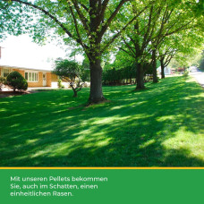 OraGarden Mantelsaatgut Schattenrasen Plus 10 kg