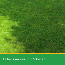 OraGarden Mantelsaatgut Schattenrasen Plus 10 kg