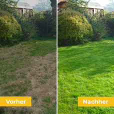 OraGarden Mantelsaatgut Schattenrasen Plus 10 kg