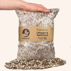 SYBASoil Premium Lithops & Split Rock Mix 10 L