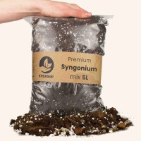 SYBASoil Premium Syngonium Mix 5 L
