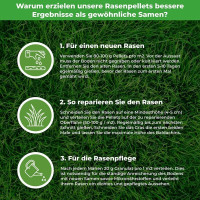 Greenedge Rasenpellets Regeneration 1.2 kg