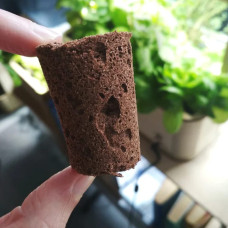 BerlinGreen Chili mild Samen im Einzelpack