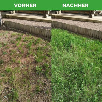 Greenedge Rasensamen Regeneration 1.1 kg