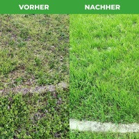 Greenedge Rasenpellets Regeneration 1.2 kg