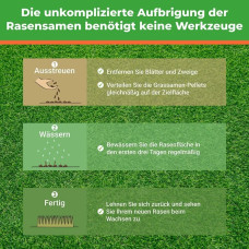 Greenedge Rasensamen Regeneration 0.4 kg