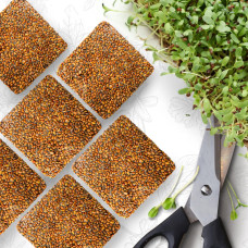 OraGarden Soil-MicroGreen Alfalfa Saatpad Set im 36er