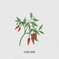 BerlinGreen Chili mild Samen im Einzelpack