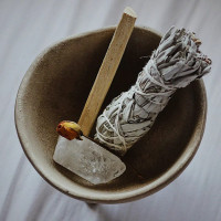 BerlinGreen Salbei Samenpaket 4er-Pack