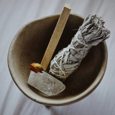 BerlinGreen Salbei Samenpaket 4er-Pack