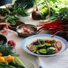 BerlinGreen Blutampfer Samen im Einzelpack