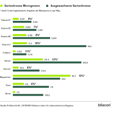 Heimgart Saatpads für Radies Rambo im 6er-Set
