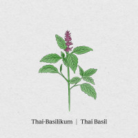 BerlinGreen Thai-Basilikum Samenpaket 4er-Pack
