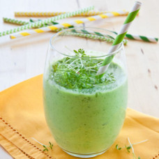 Heimgart Saatpad Gartenkresse